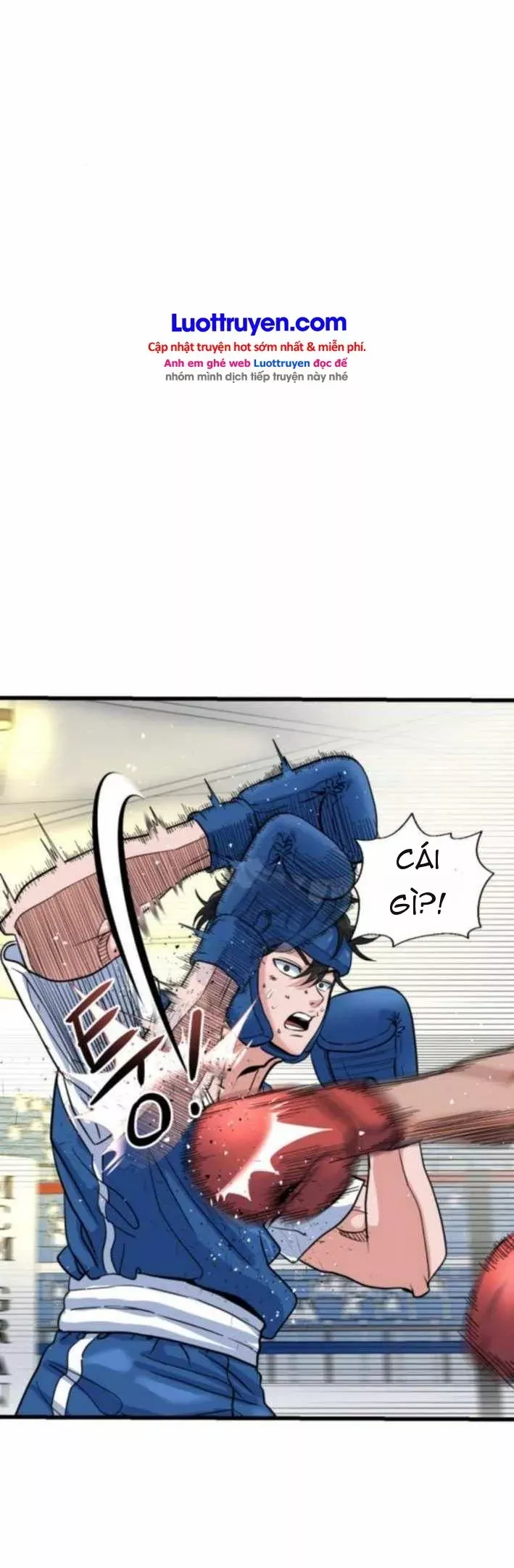 Under Boxer Chapter 10 - Trang 15