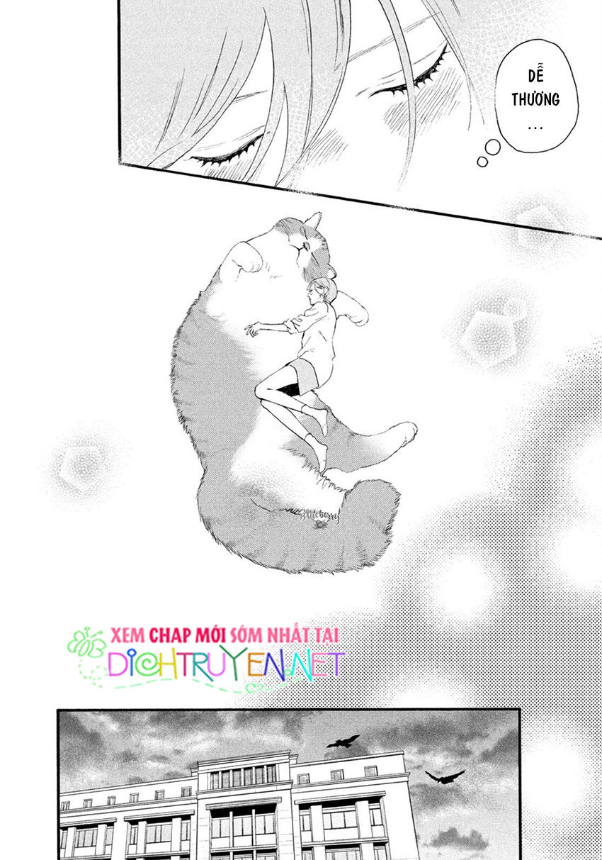 Uruwashi No Yoi No Tsuki Chapter 4 - Trang 29