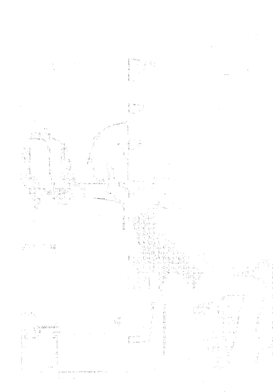 Văn Hào Lưu Lạc: Ngày Tôi Nhặt Được Dazai Chapter 2 - Trang 24