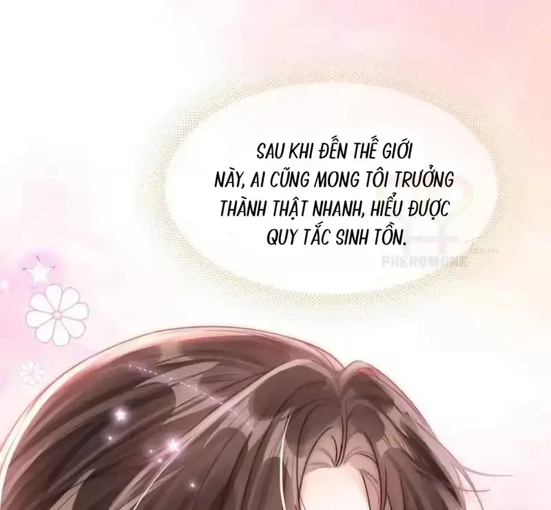 Vãn Triều Chapter 22 - Trang 45