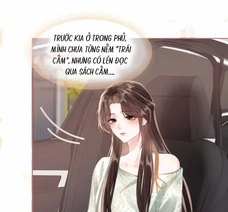 Vãn Triều Chapter 24 - Trang 7