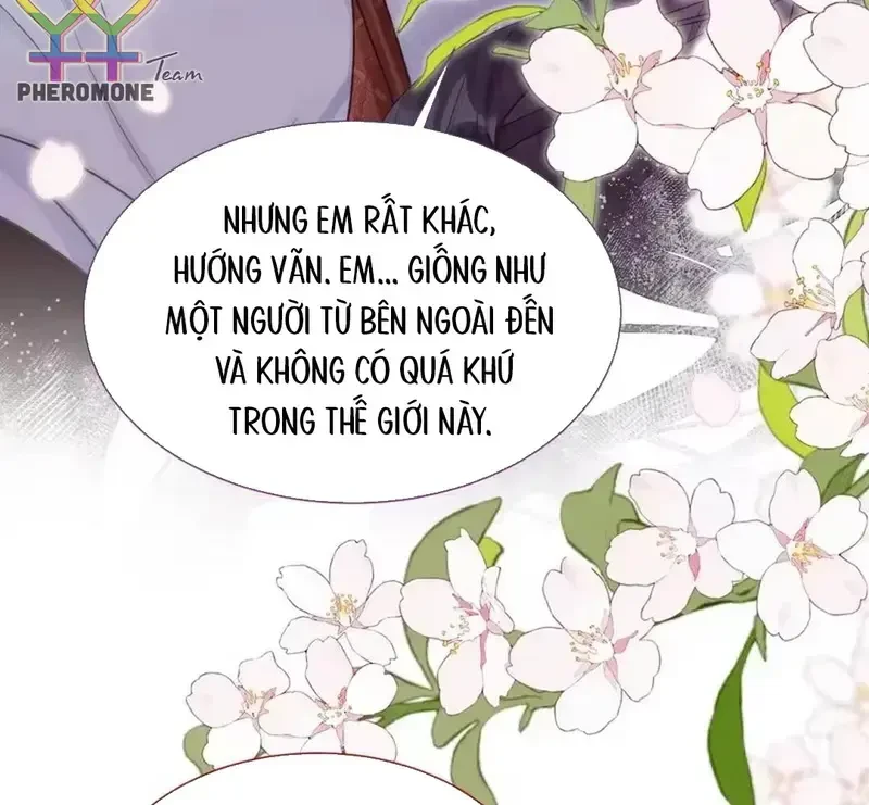 Vãn Triều Chapter 26 - Trang 42