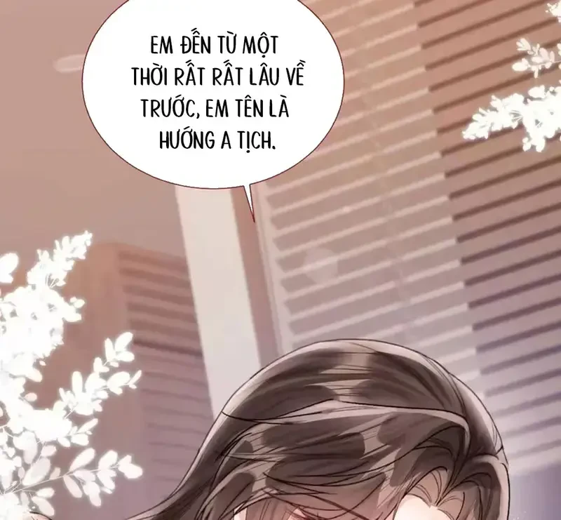 Vãn Triều Chapter 26 - Trang 49