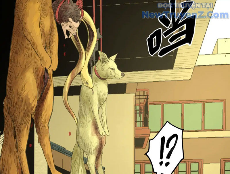 Về Nam Thiên Chapter 3 - Trang 37