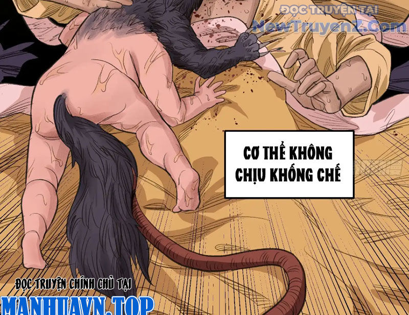 Về Nam Thiên Chapter 6 - Trang 33