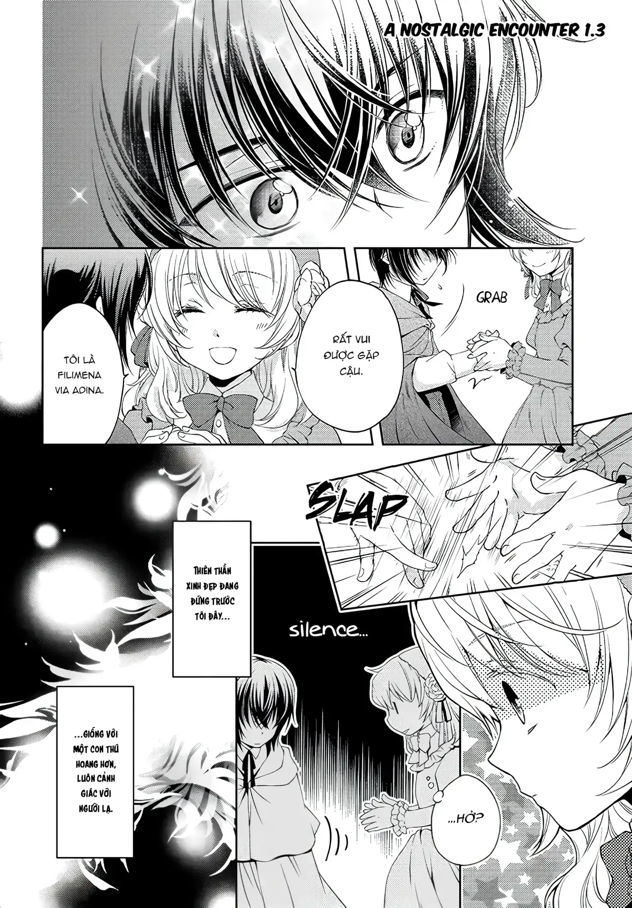 Vị Hôn Thê Của Pháp Sư Chapter 1 - Trang 15