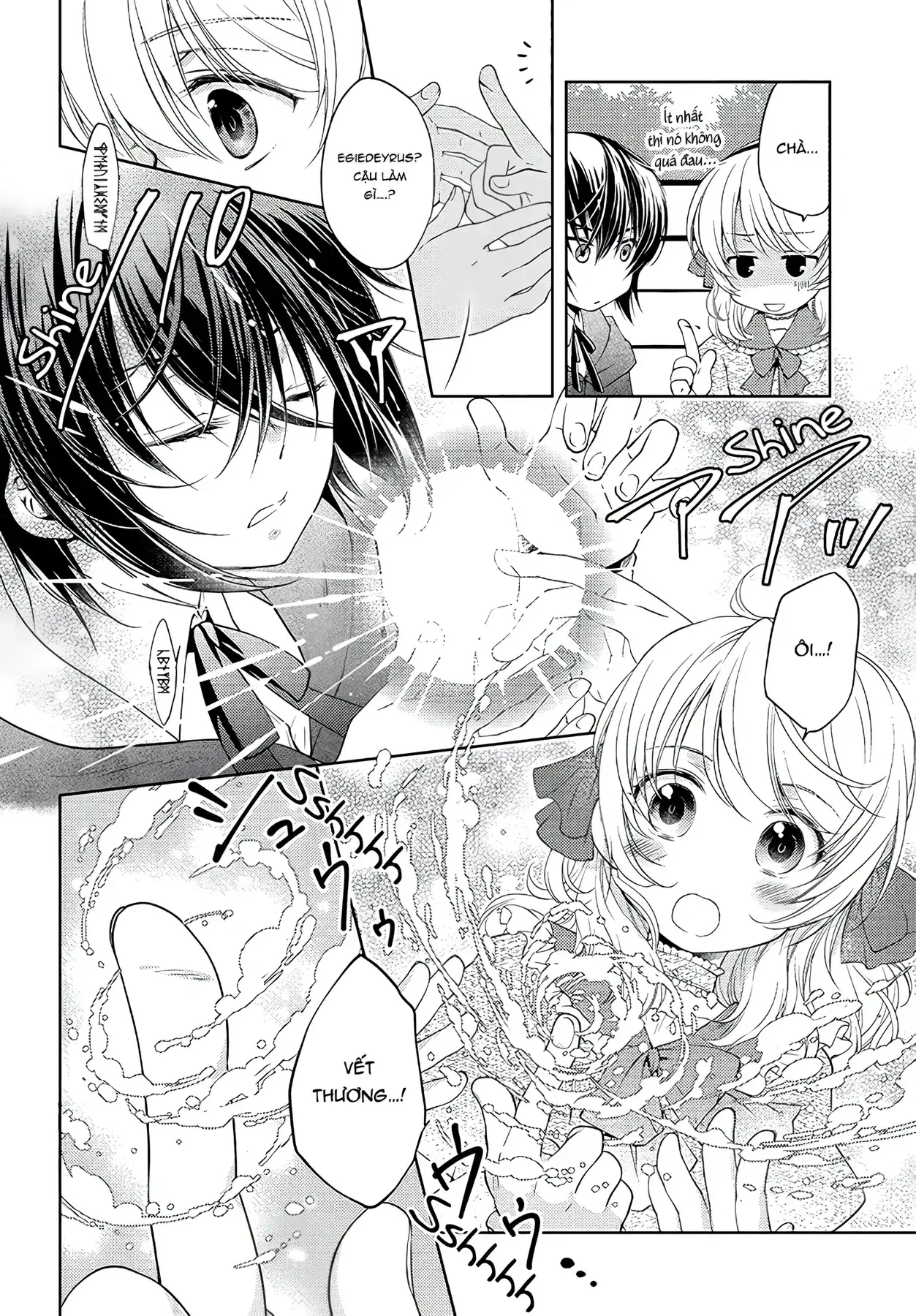 Vị Hôn Thê Của Pháp Sư Chapter 1 - Trang 21