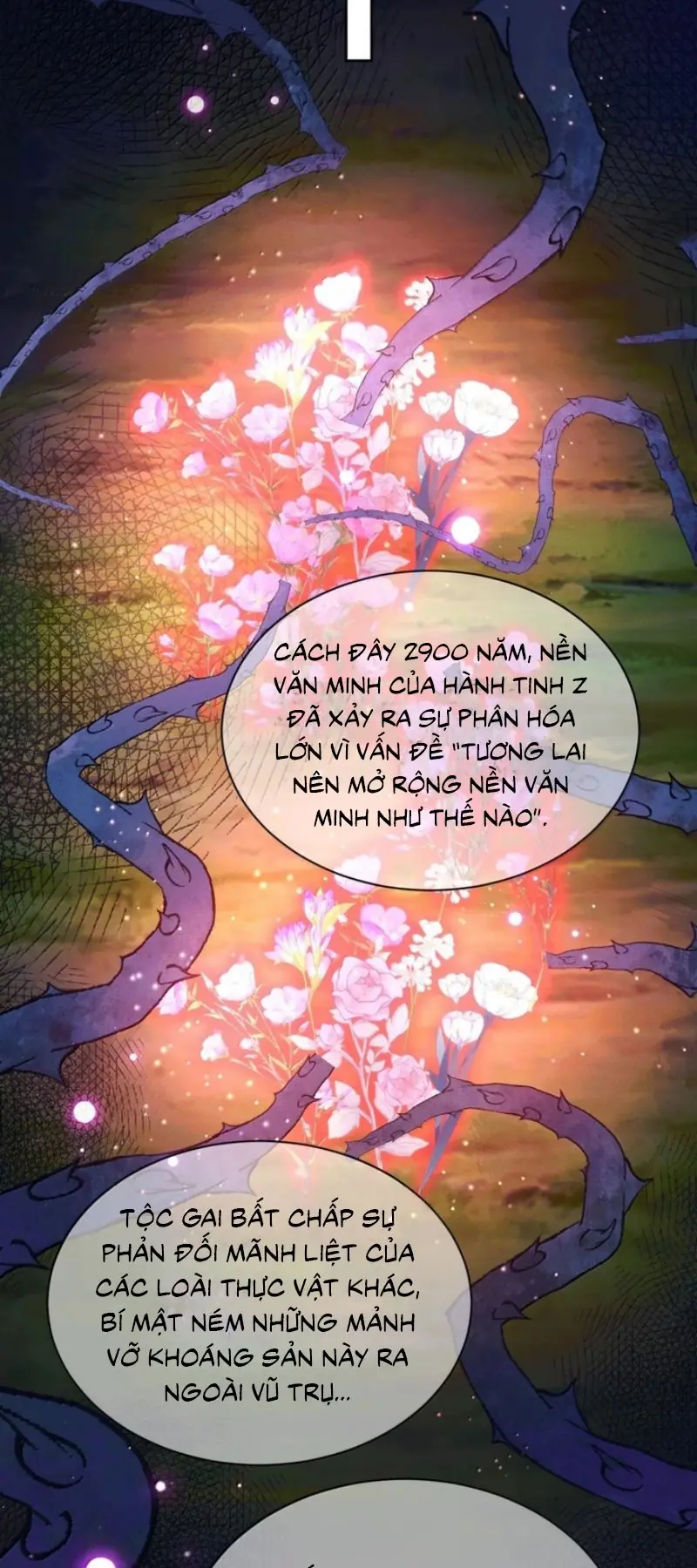 Vì Sao Của Tương Lai Đang Đợi Bạn Chapter 25 - Trang 4
