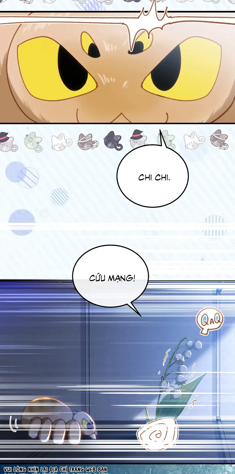 Vì Sao Của Tương Lai Đang Đợi Bạn Chapter 8 - Trang 26