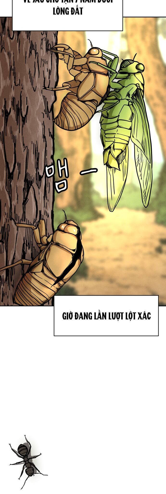 Vỏ Bọc Chapter 1 - Trang 3
