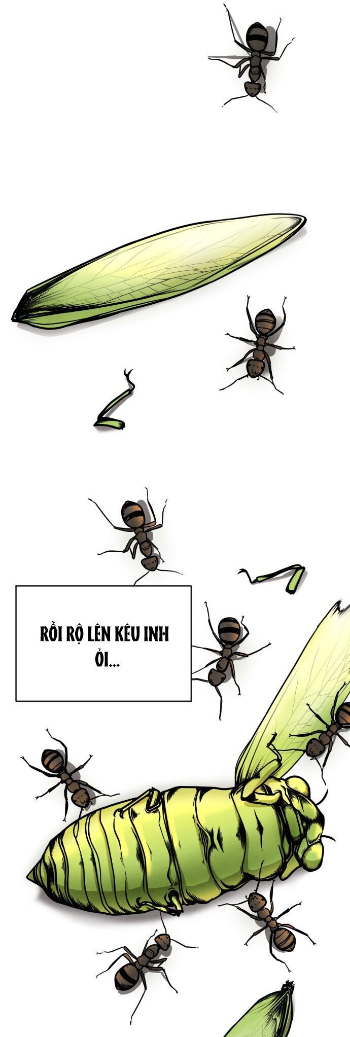 Vỏ Bọc Chapter 2 - Trang 4