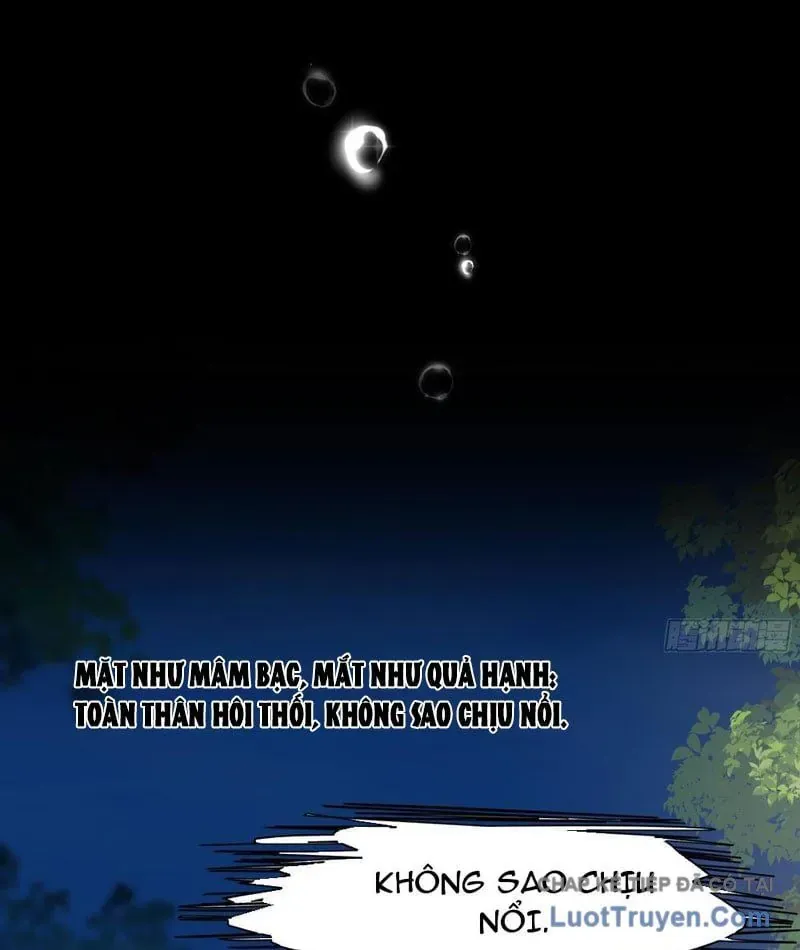 Võ Đại Lang Mạnh Nhất Tái Sinh Ở Thế Giới Thủy Hử Chapter 14 - Trang 33