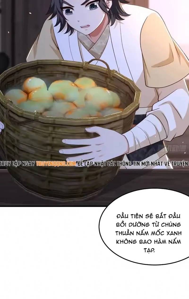Võ Đại Lang Mạnh Nhất Tái Sinh Ở Thế Giới Thủy Hử Chapter 37 - Trang 5