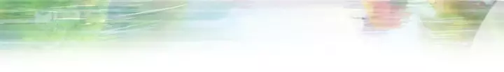 Võ Đại Lang Mạnh Nhất Tái Sinh Ở Thế Giới Thủy Hử Chapter 76 - Trang 13