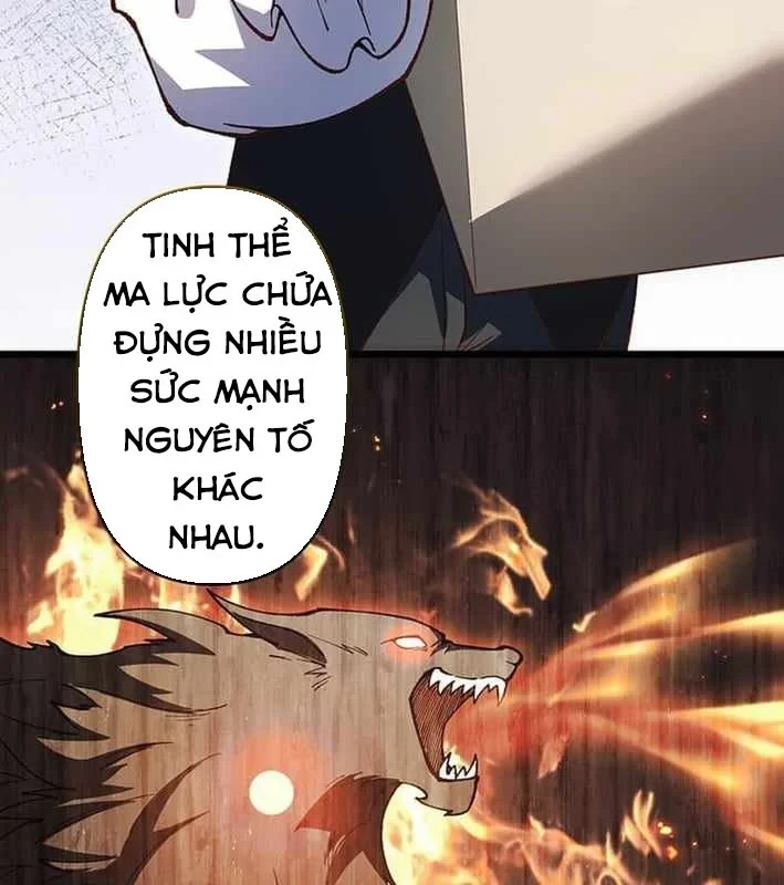 Võ Giả Bí Ẩn Của Huyết Ma Chapter 17 - Trang 47