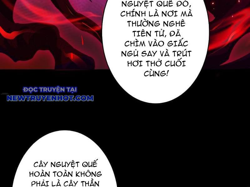 Vô Hạn Chuyển Chức: Ta Có Thể Triệu Hoán Nữ Thần Max Cấp Chapter 40 - Trang 14