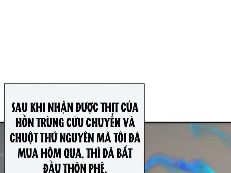 Vô Hạn Tiến Hóa Từ Con Số 0 Chapter 80.7 - Trang 21