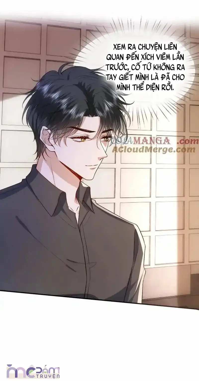 Vợ Yêu Khó Chọc: Lục Tổng Sủng Vợ Tận Trời ! Chapter 108 - Trang 12