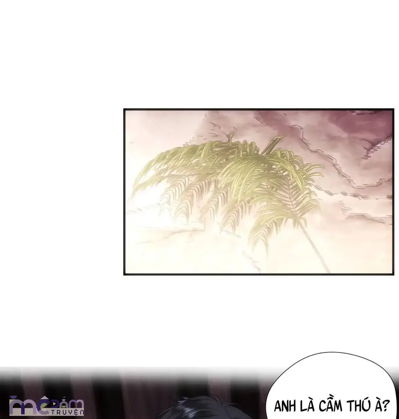 Vợ Yêu Khó Chọc: Lục Tổng Sủng Vợ Tận Trời ! Chapter 127 - Trang 9