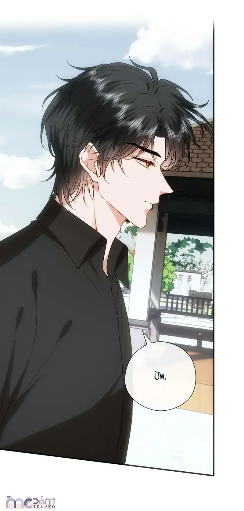 Vợ Yêu Khó Chọc: Lục Tổng Sủng Vợ Tận Trời ! Chapter 162 - Trang 22