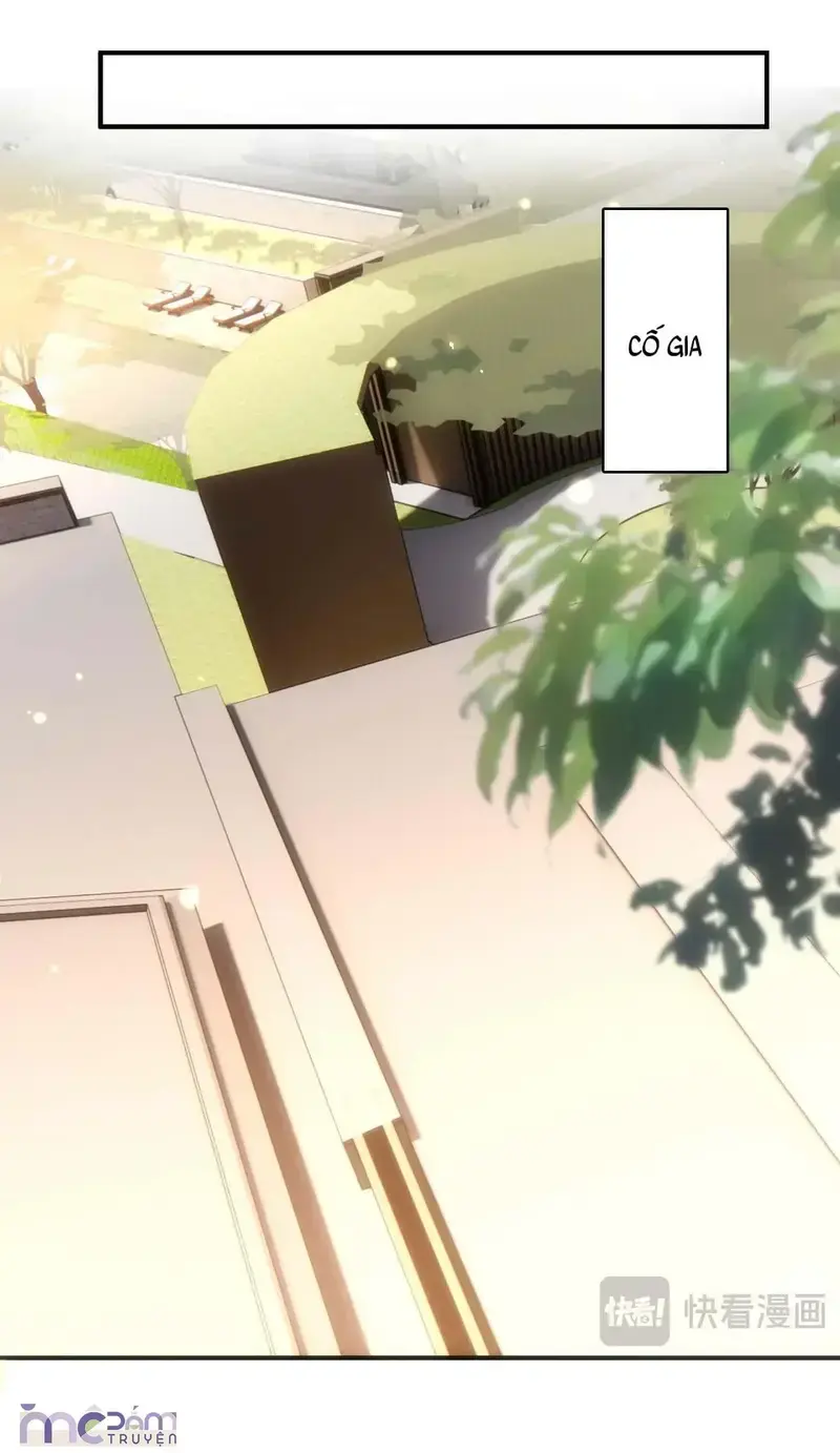 Vợ Yêu Khó Chọc: Lục Tổng Sủng Vợ Tận Trời ! Chapter 176 - Trang 20