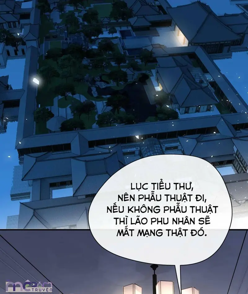 Vợ Yêu Khó Chọc: Lục Tổng Sủng Vợ Tận Trời ! Chapter 24 - Trang 8