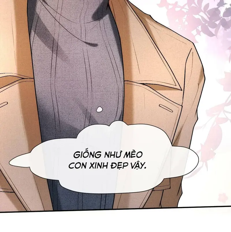 Vợ Yêu Khó Chọc: Lục Tổng Sủng Vợ Tận Trời ! Chapter 28 - Trang 11