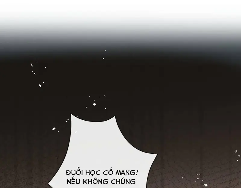 Vợ Yêu Khó Chọc: Lục Tổng Sủng Vợ Tận Trời ! Chapter 38 - Trang 3