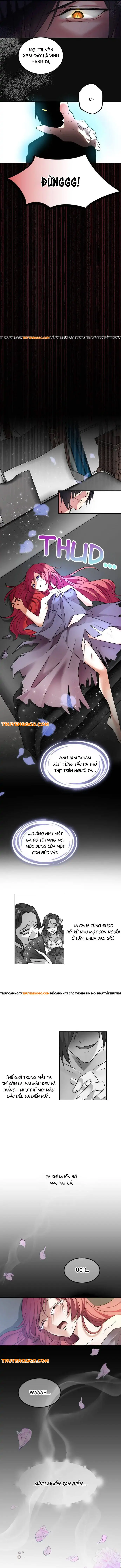 Vũ Khí Báo Thù, Giọt Lệ Tẩm Độc Chapter 2 - Trang 8