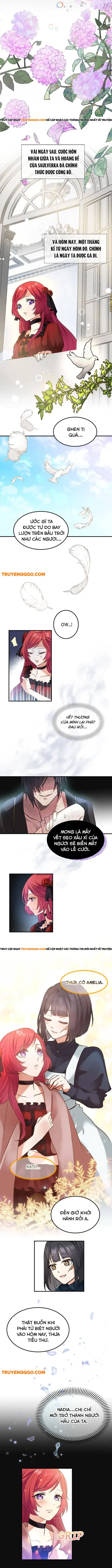Vũ Khí Báo Thù, Giọt Lệ Tẩm Độc Chapter 2 - Trang 9
