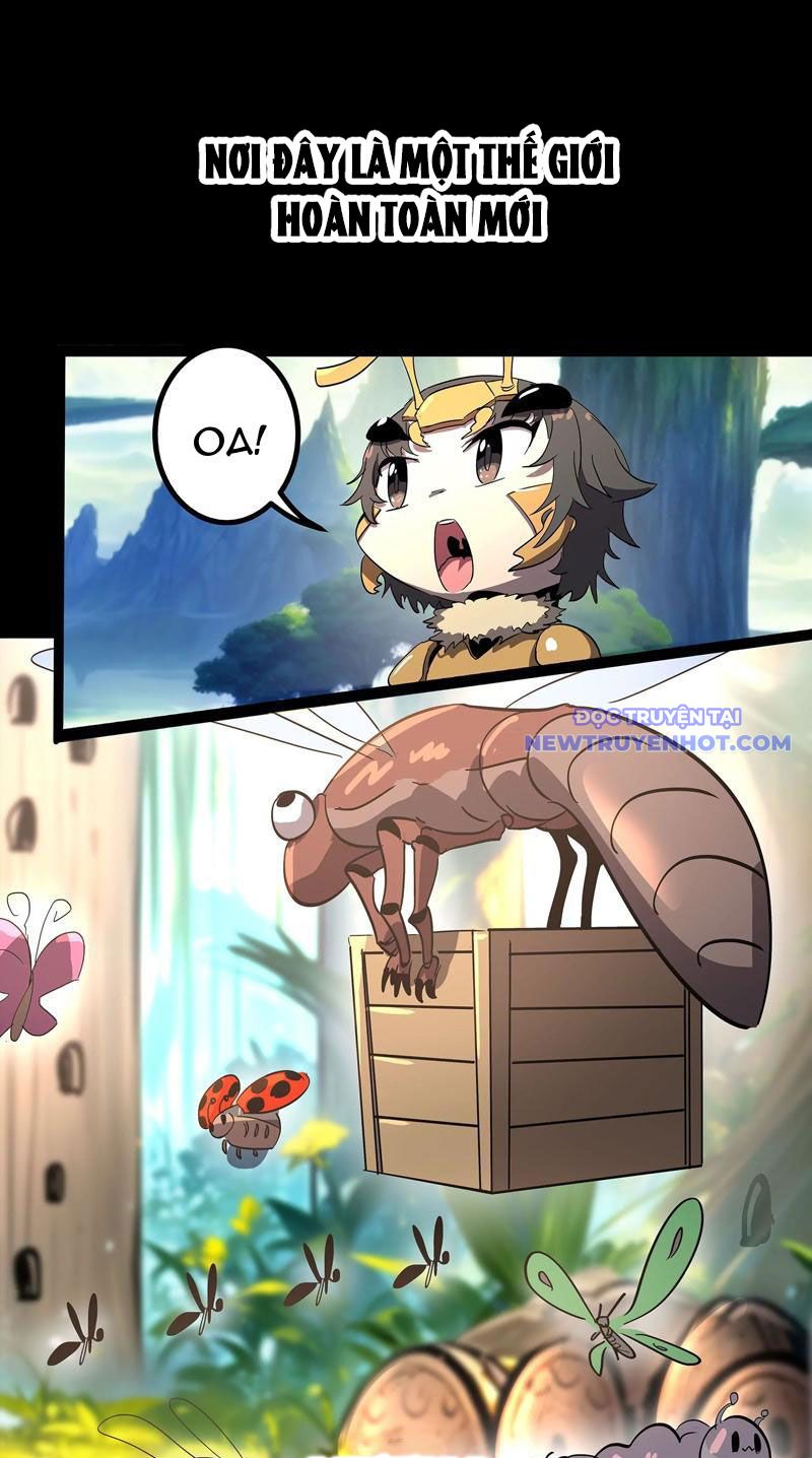Vũ Trụ Trùng Vương Chapter 1 - Trang 4
