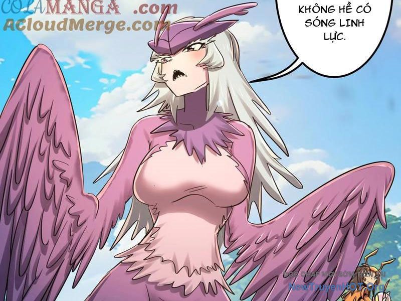 Vũ Trụ Trùng Vương Chapter 47 - Trang 47