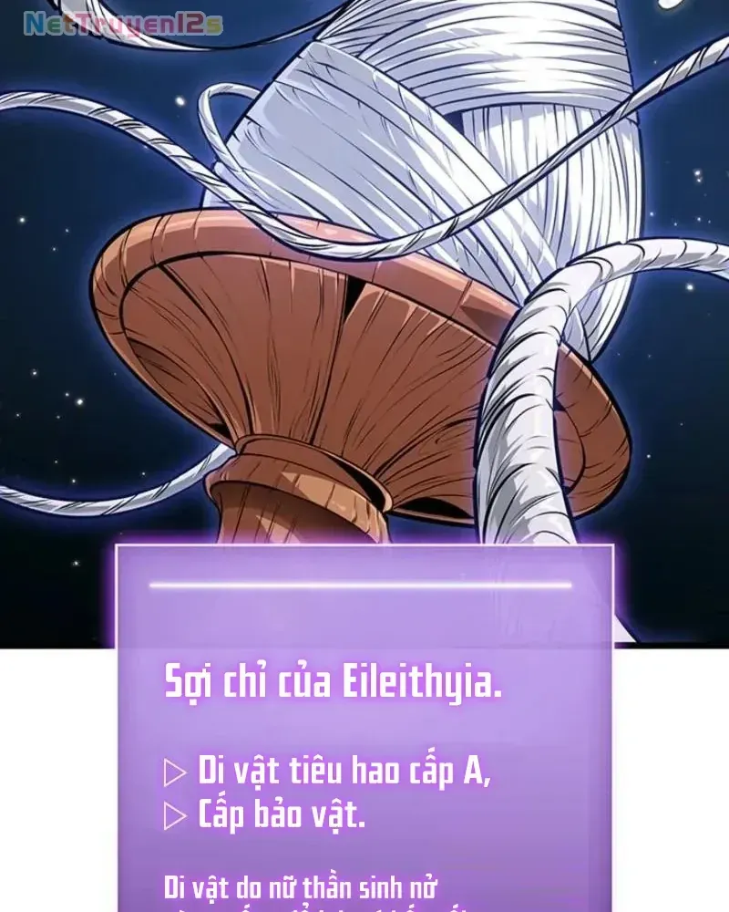 Vua trộm mộ -  Vạch đích Chapter 2 - Trang 10