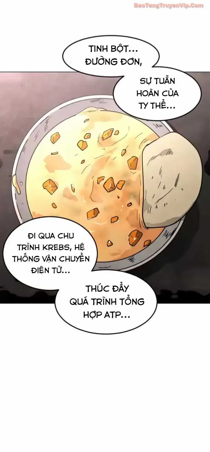 Vùng Đất Sương Mù Chapter 30 - Trang 33