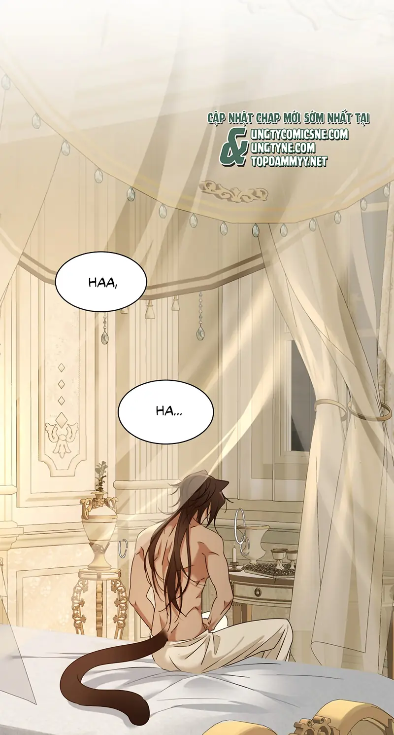 Vương Tử Bệnh Kiều Bị Báo Đen Chiếm Đoạt Đến Nghiện Chapter 14 - Trang 16