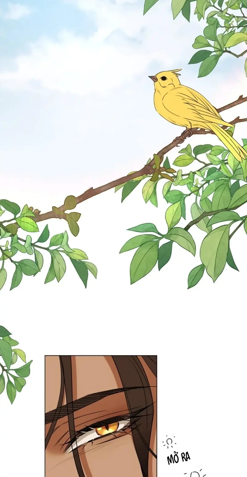 Vương Tử Bệnh Kiều Bị Báo Đen Chiếm Đoạt Đến Nghiện Chapter 19 - Trang 18