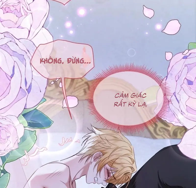 Vương Tử Bệnh Kiều Bị Báo Đen Chiếm Đoạt Đến Nghiện Chapter 19 - Trang 5