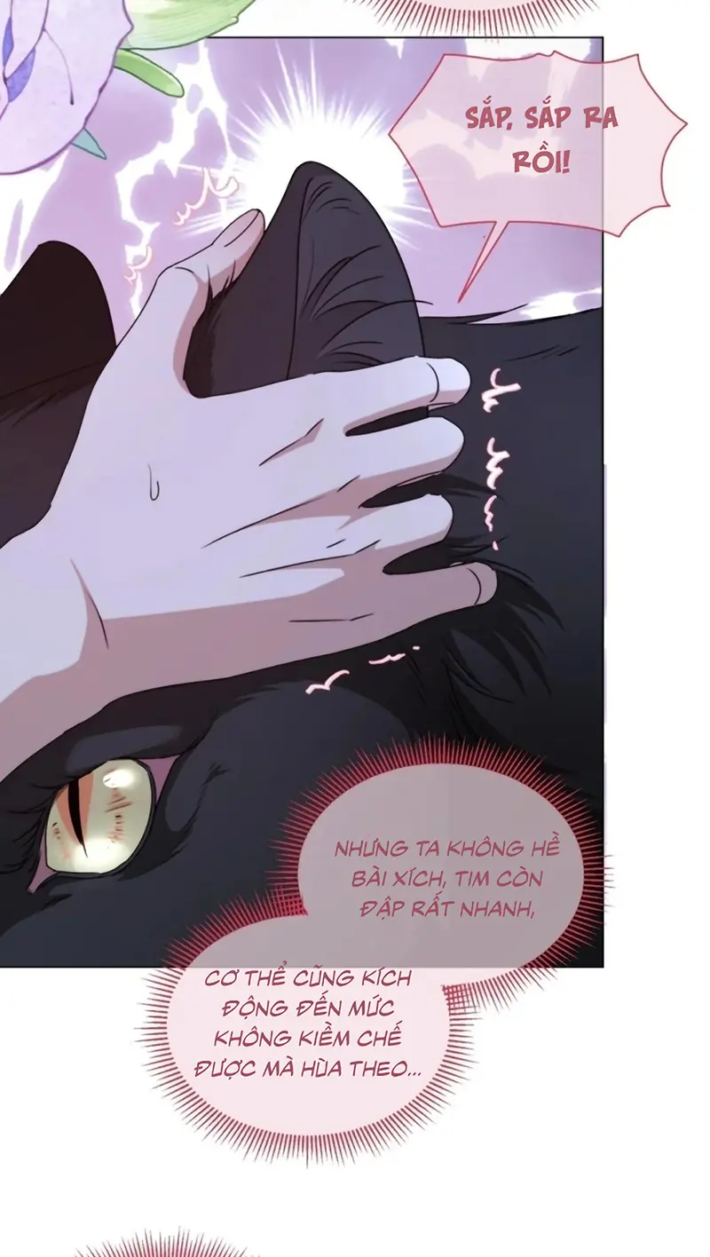 Vương Tử Bệnh Kiều Bị Báo Đen Chiếm Đoạt Đến Nghiện Chapter 19 - Trang 8