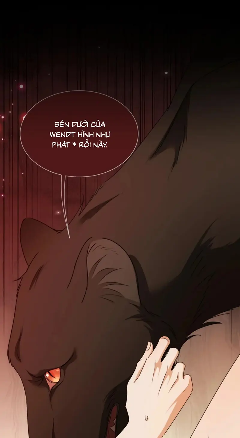 Vương Tử Bệnh Kiều Bị Báo Đen Chiếm Đoạt Đến Nghiện Chapter 21 - Trang 11