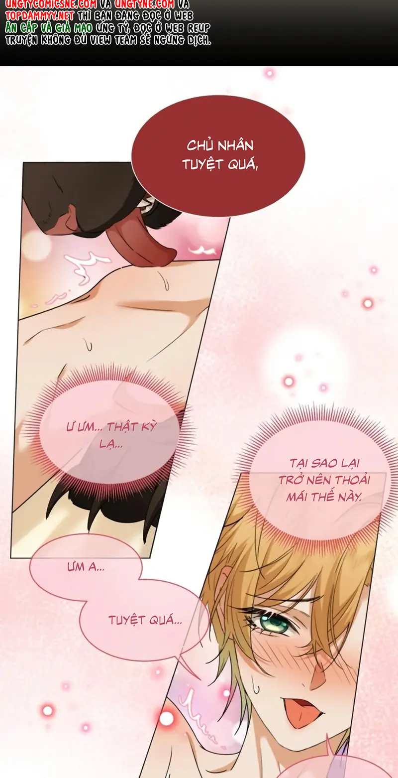 Vương Tử Bệnh Kiều Bị Báo Đen Chiếm Đoạt Đến Nghiện Chapter 21 - Trang 27