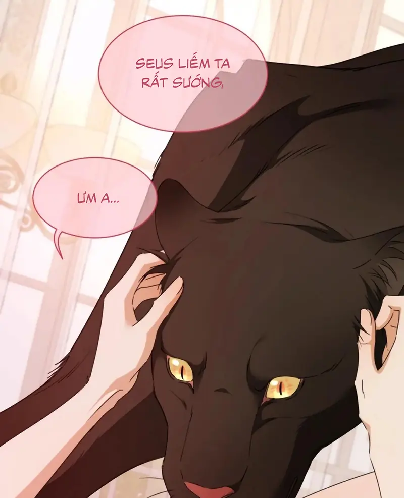 Vương Tử Bệnh Kiều Bị Báo Đen Chiếm Đoạt Đến Nghiện Chapter 21 - Trang 5