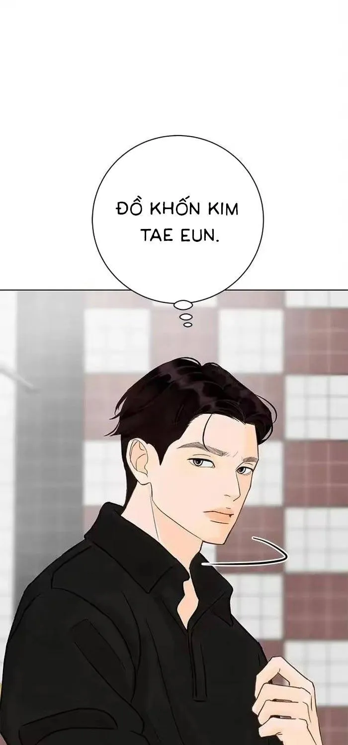 Vượt Ranh Vì Một Chữ Nợ Chapter 19 - Trang 17