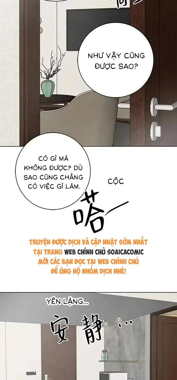 Vượt Ranh Vì Một Chữ Nợ Chapter 31 - Trang 5