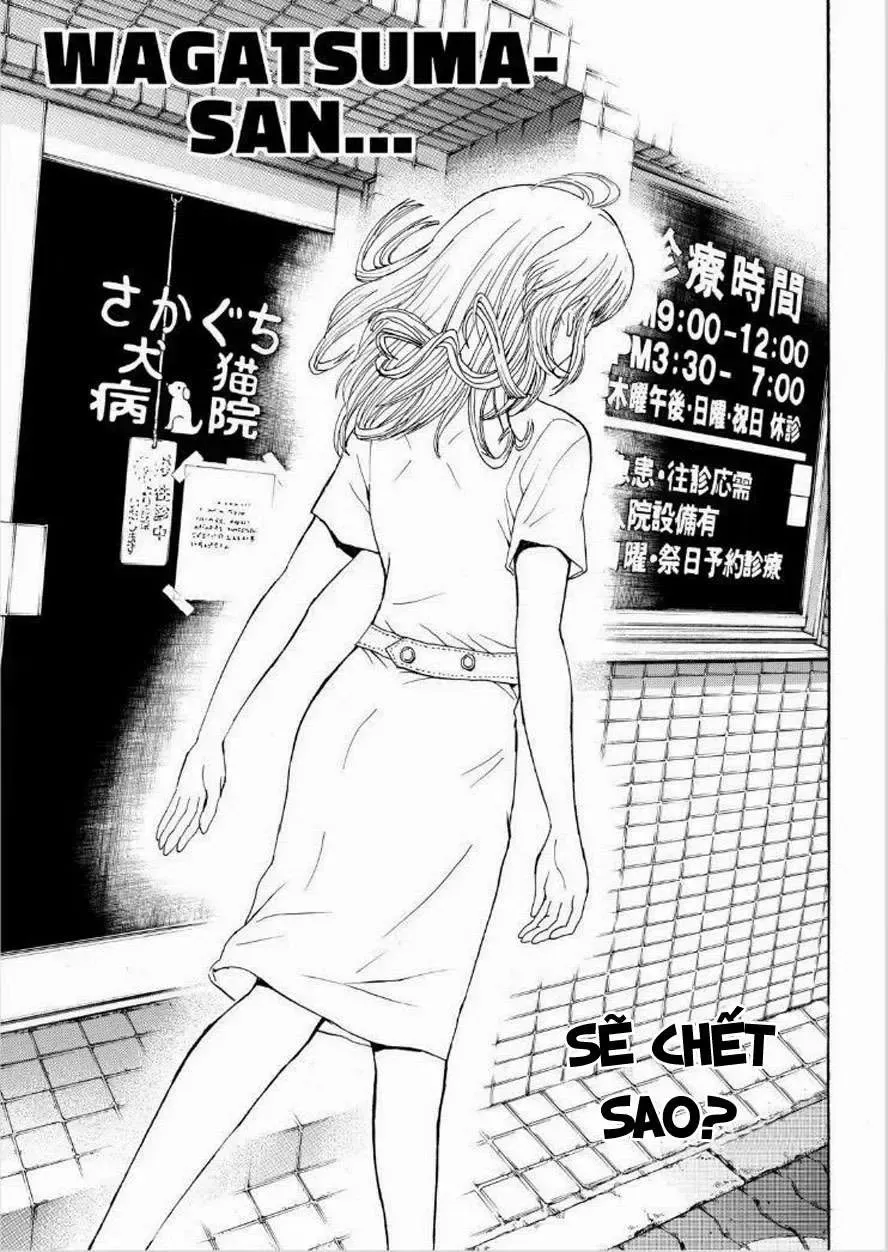 Wagatsuma-San Wa Ore No Yome Chapter 93 - Trang 12