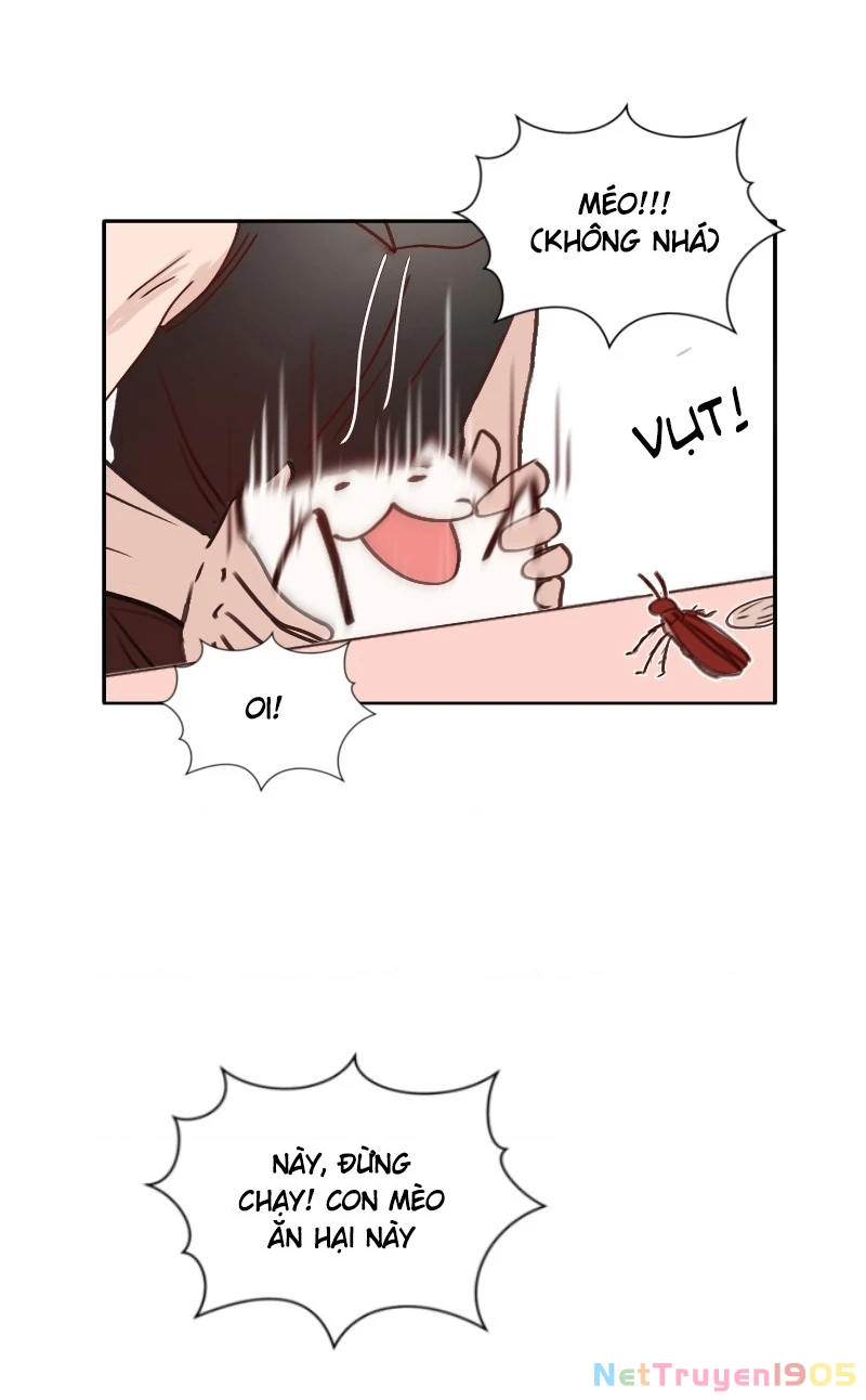 Wee!!! Chapter 94 - Trang 10