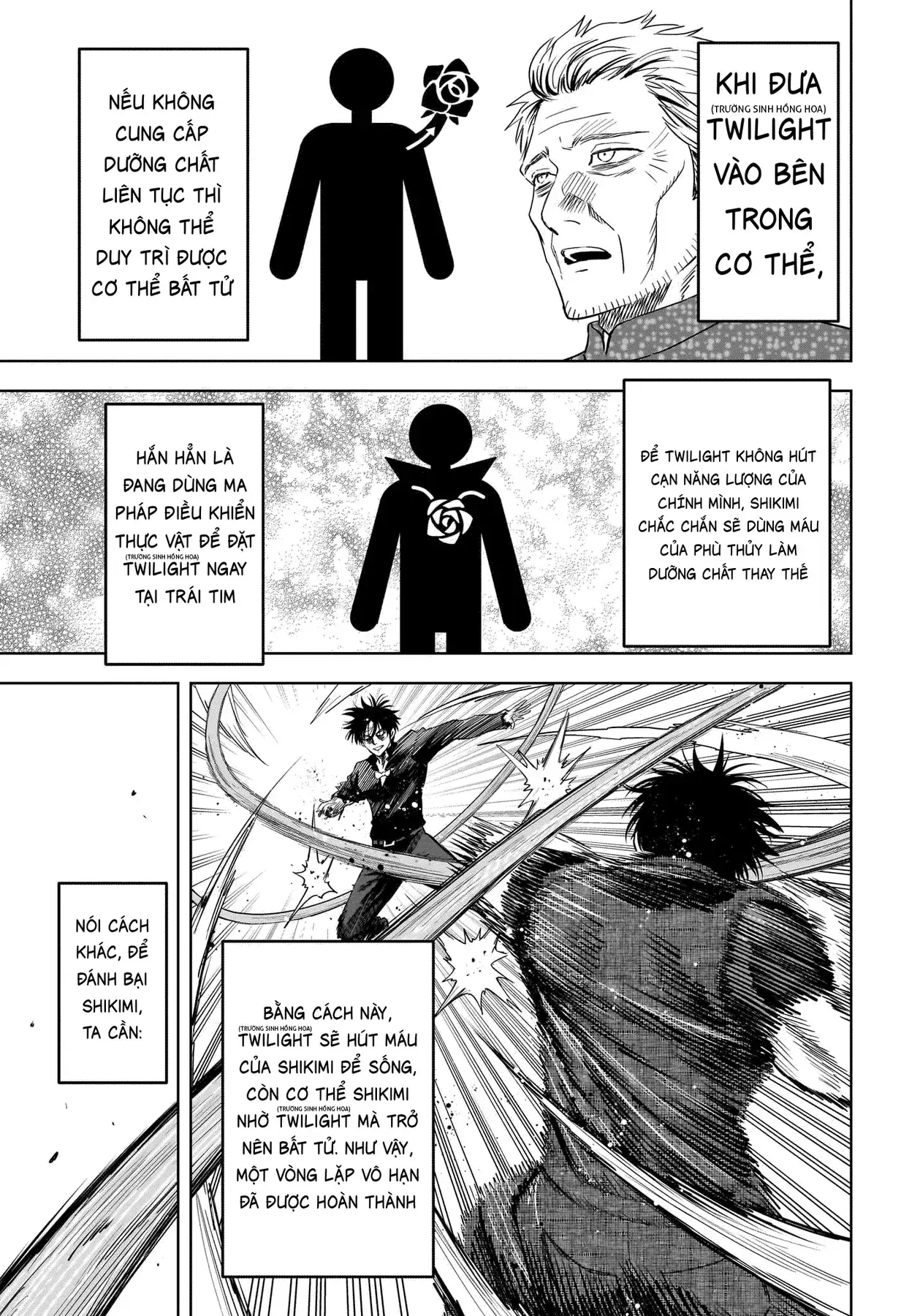 Witch Watch - Phần 3: Hắc Bạch Phù Thuỷ Chapter 240 - Trang 14