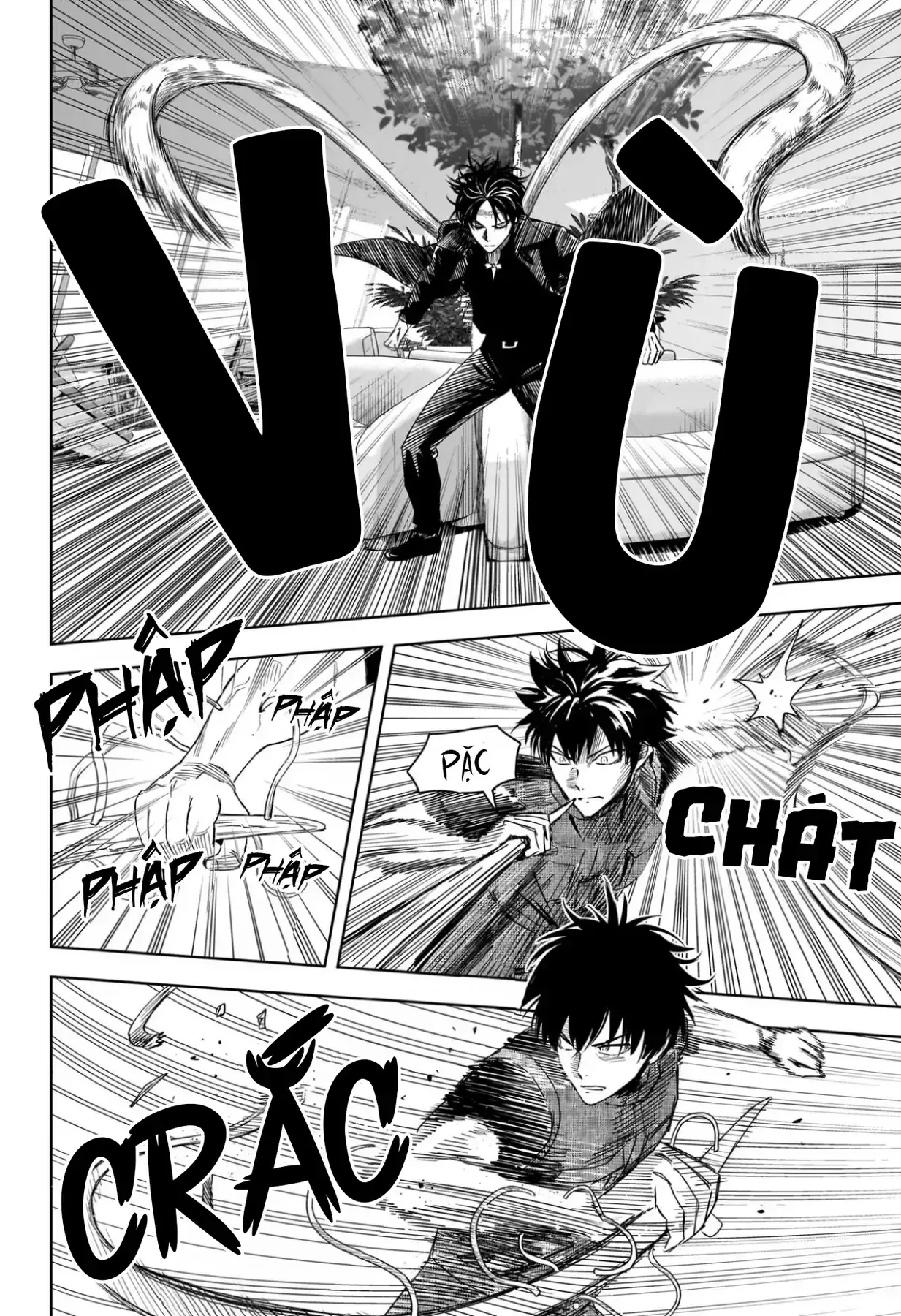 Witch Watch - Phần 3: Hắc Bạch Phù Thuỷ Chapter 240 - Trang 5