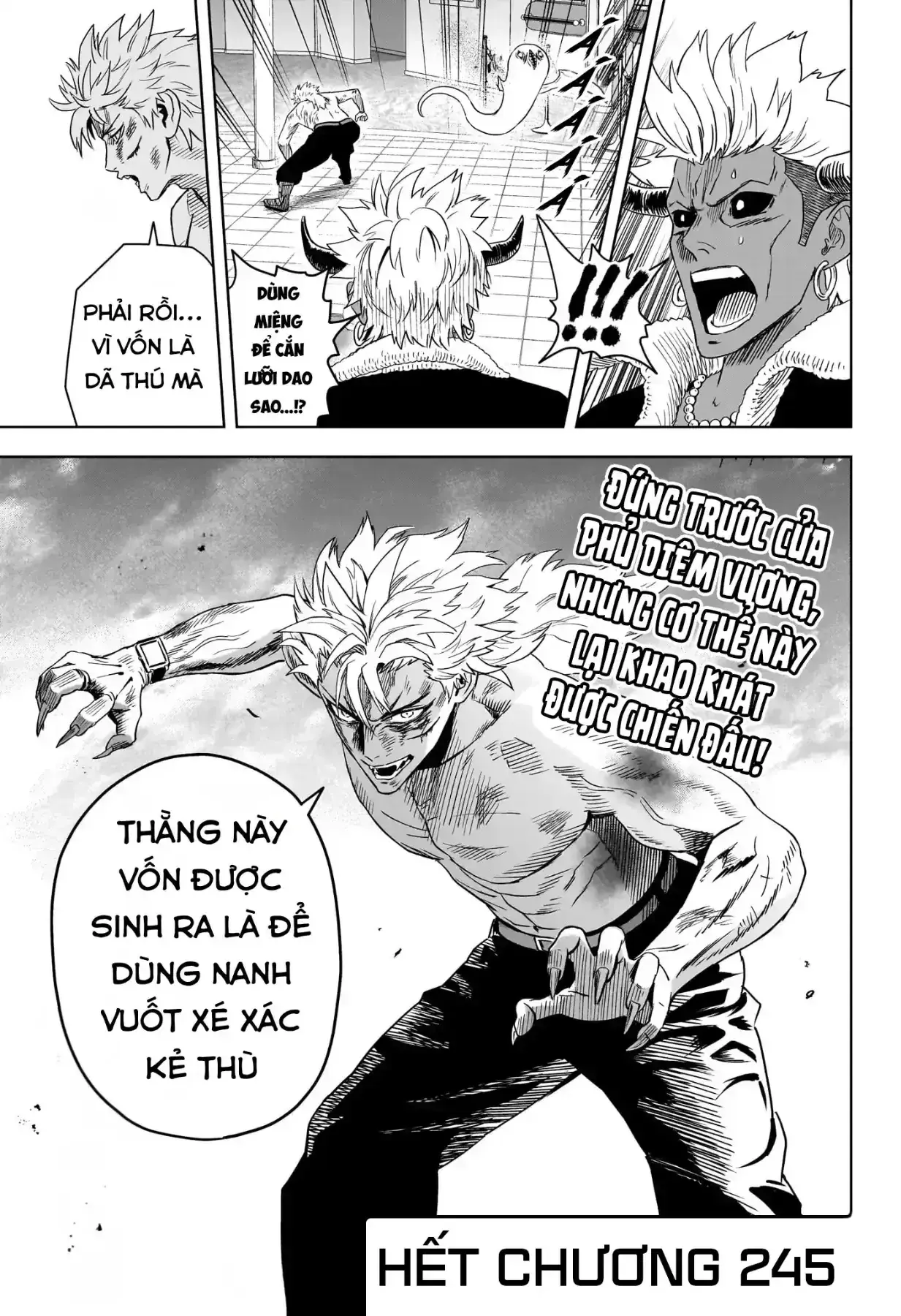 Witch Watch - Phần 3: Hắc Bạch Phù Thuỷ Chapter 245 - Trang 18
