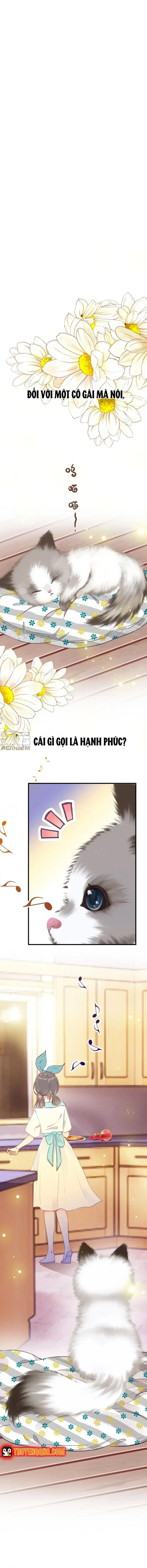 Xách Mèo Vào Ở Chapter 1 - Trang 4