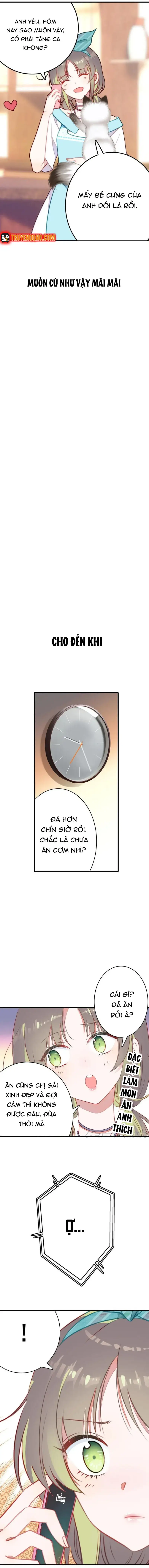 Xách Mèo Vào Ở Chapter 1 - Trang 7